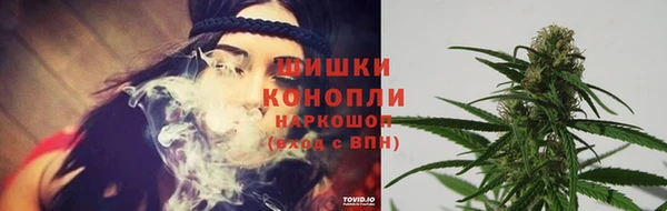 трава Алексин