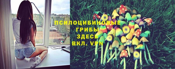 бутират Алзамай