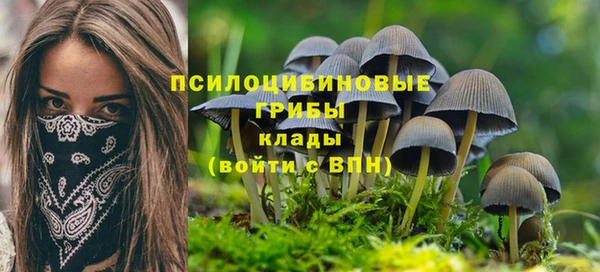 бутират Алзамай