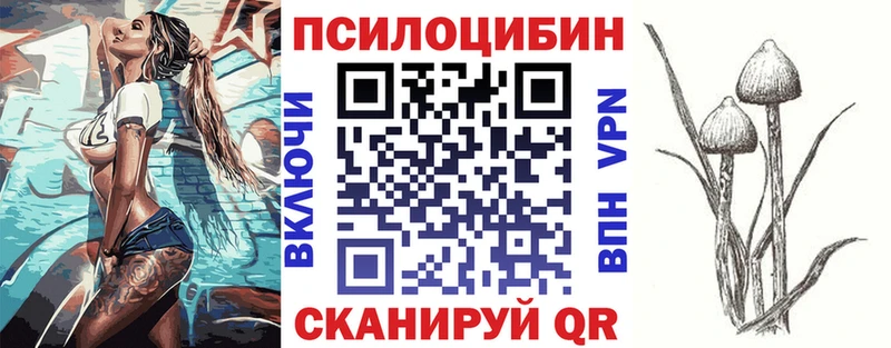 магазин  наркотиков  Клинцы  Псилоцибиновые грибы ЛСД 