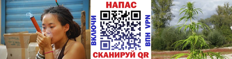 МАРИХУАНА сатива Клинцы